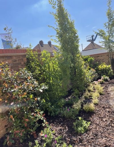 teynham landscaping, kent, south east, garden maintenance, commercial maintenance,