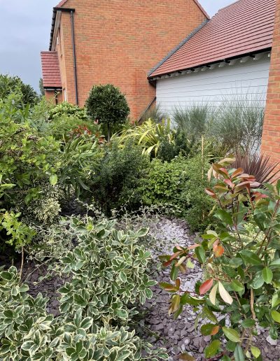 teynham landscaping, kent, south east, garden maintenance, commercial maintenance,